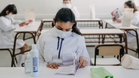 La Sociedad Argentina de Pediatría consideró que es “imprescindible” el regreso de las clases presenciales