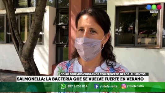 Salmonella: la bacteria que se vuelve fuerte en verano. Como debemos cuidarnos con proceso de los alimentos