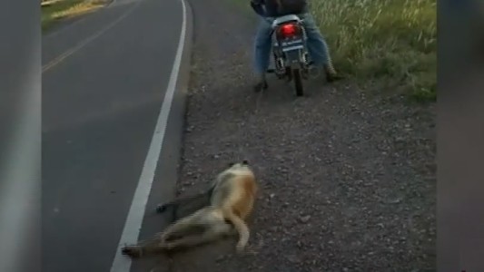 Como castigo, arrastró a un perro por la ruta