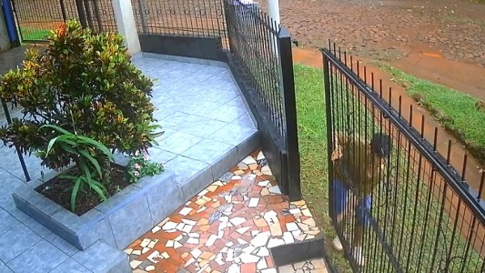 Video: quiso robarse un portón de rejas y lo descubrieron