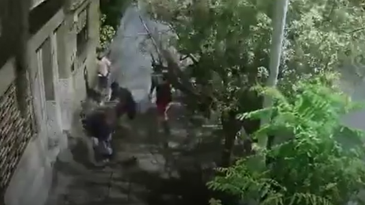 Robo piraña: La atacaron entre cuatro para robarle el auto