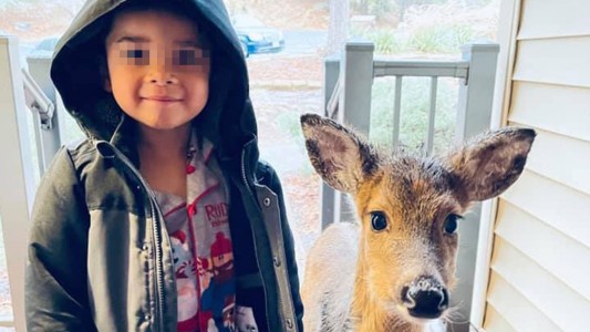 Su hijo de 4 años salió a jugar y volvió con una nueva mascota