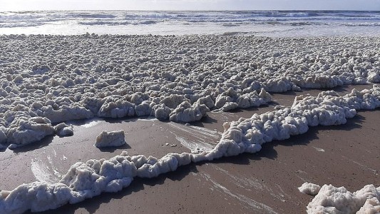 Las playas de Mar del Plata se cubrieron con una densa espuma marina