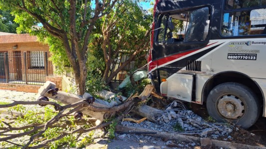 14 heridos, dos de ellos hospitalizados tras el choque de colectivos urbanos en Córdoba