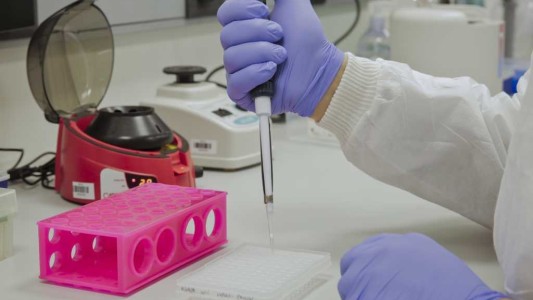 Efecto secundario del Covid-19 afectaría el semen