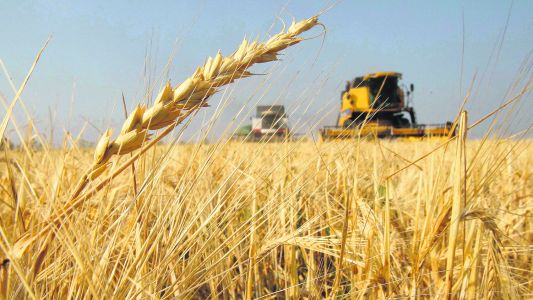 Retenciones: La negativa del campo