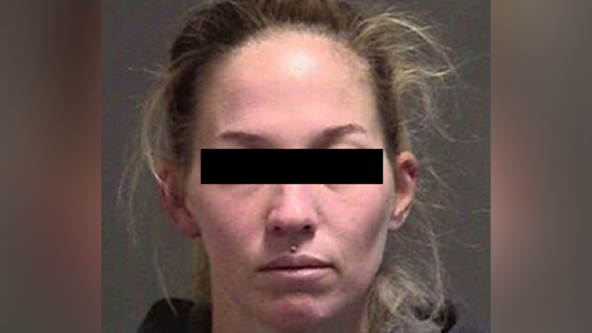 Detuvieron a una profesora acusada de tener sexo con una alumna