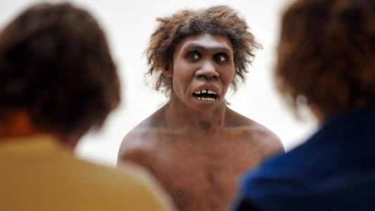 ¿Tus antepasados neandertales influyeron en tu covid?