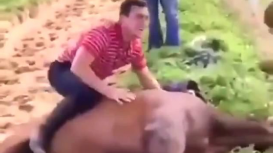 Video de terror: un jockey y su entrenador saltaron y se sacaron fotos sobre un caballo muerto
