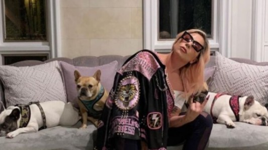 A 10 días de recuperar a sus perros, Lady Gaga no pagó la recompensa