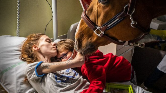 La conmovedora imagen de un caballo confortando a un paciente de cáncer terminal en sus últimas horas