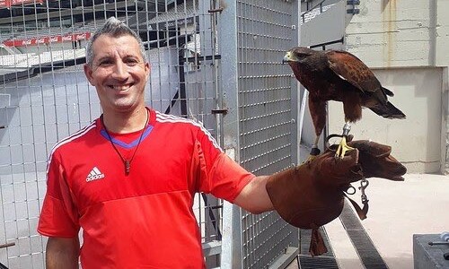 Las aves que “custodian” el campo de juego de River son adiestradas en Santa Fe