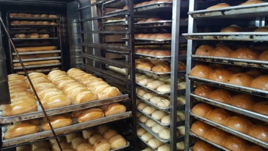 El pan nuestro de cada día aumenta hoy: sube 15% y el kilo de criollos vale 250 pesos