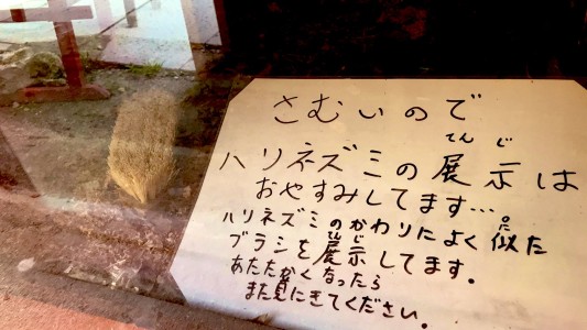 "Vuelva cuando haga más calor": zoológico japonés reemplazó a un erizo con un cepillo