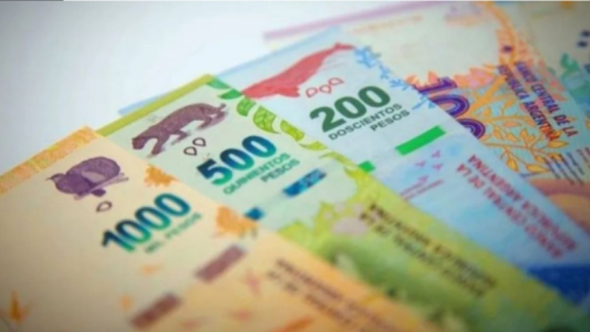 Anses paga $21.600: cuáles son los requisitos para acceder al nuevo plan