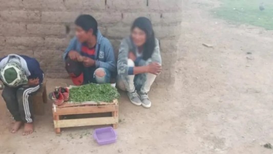 Los tres hermanitos que caminan 2 horas para llegar a la escuela y piden bicicletas