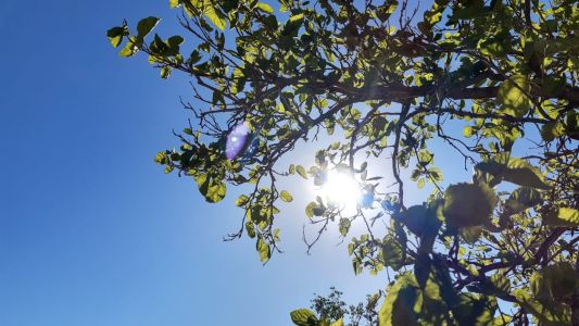 Pronóstico: martes soleado con temperaturas otoñales