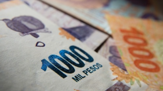 Cuáles son los requisitos para acceder al plan de $21.600 mensuales de Anses