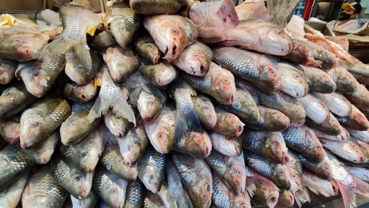 Semana Santa: aumentaron la merluza y el lomito de atún