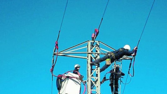 "Trampa mortal": demandan a empresa energética por cientos de pájaros electrocutados