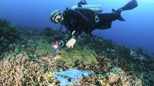 Argentina integra iniciativa mundial para acabar con la basura marina y limpiar los océanos
