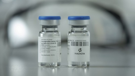 Publican en una revista de The Lancet el estudio argentino sobre suero equino contra el coronavirus
