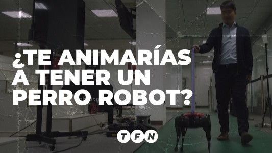 ¿Te animarías a tener un perro robot?