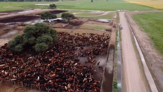Cuatrerismo Vip: otro empresario agropecuario cordobés fue detenido por robo de ganado en Santiago del Estero