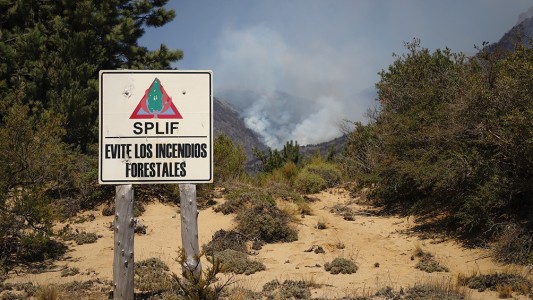 Están "controlados" todos los incendios forestales en el país