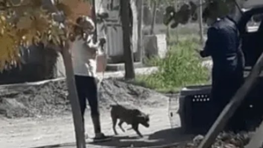 Pitbull atacó a una nena, se lo llevó la Policía y a las pocas horas se lo devolvieron a la dueña: "Va a matar a alguien"