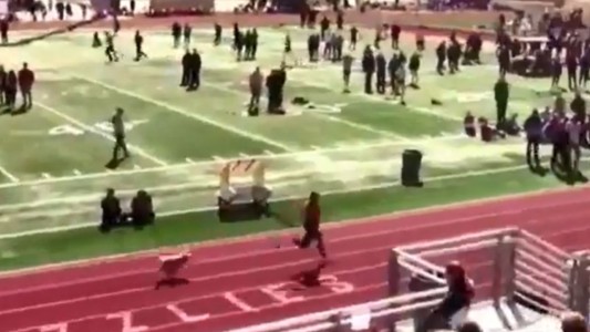 Perro salta a la pista durante carrera de relevos y se roba el triunfo