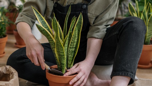 Riego en otoño, menos agua y más nutrientes!