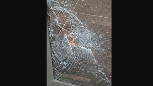 VIDEO: un puma se estrelló en la puerta de la Municipalidad de Río Primero y rompió el vidrio