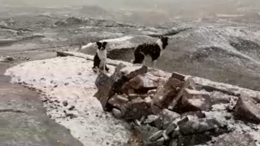 Las Altas Cumbres recibieron la primera nevada del 2021