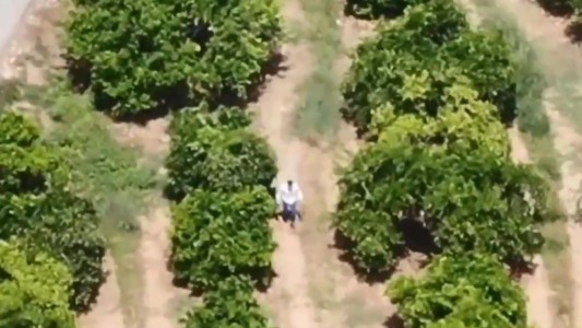 Gracias a un drone atrapan a un narco muy escurridizo