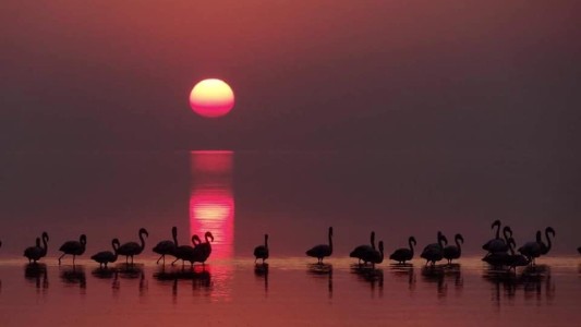 La laguna Mar Chiquita camino a recibir el máximo estatus de conservación ambiental