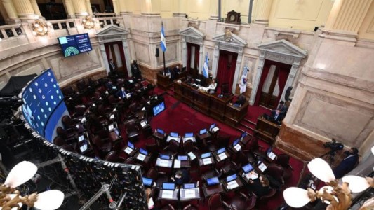 El Senado aprobó el proyecto sobre el destino de los Derechos Especiales de Giro del FMI