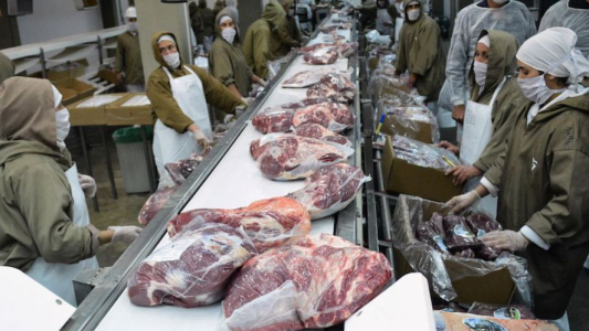 El Gobierno formalizó la suspensión de las exportaciones de carne