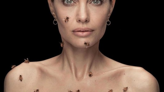 Angelina Jolie pasó 18 minutos con abejas en el cuerpo por una causa