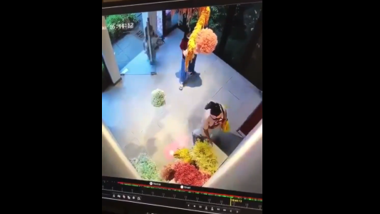 Una madre y sus dos hijas destruyeron una obra de arte para fotografiar a su perrito