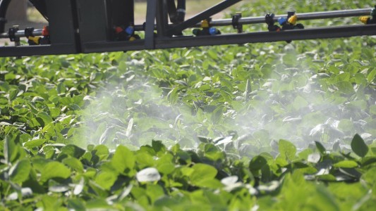 Un juez invalida un acuerdo de Bayer sobre glifosato en Estados Unidos