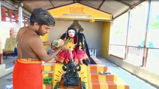 Sacerdotes hindúes invocan la clemencia de la "Diosa del Coronavirus" en India