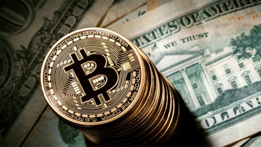 Policías fueron a buscar una plantación ilegal de marihuana y se encontraron una mina de bitcoins