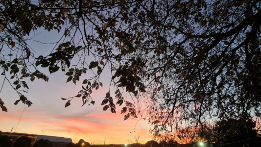 Frío por la mañana, paulatino ascenso de temperatura, máxima de 24°