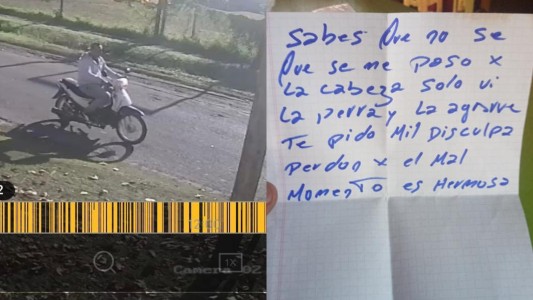 Un motochorro se robó una perrita pero decidió devolverla: "Perdón por el mal momento, es hermosa"