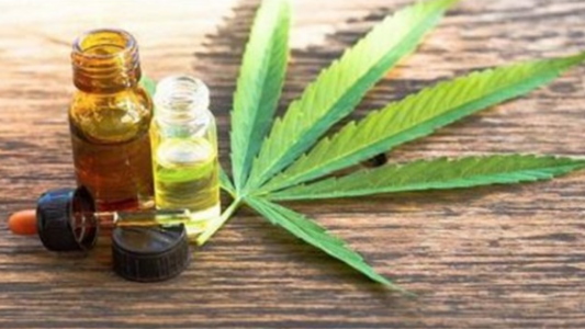 Proyecto para desarrollar la industria del cannabis medicinal