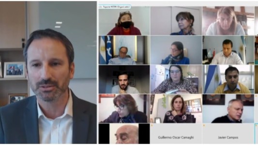 En el Congreso, Pfizer negó pedidos de coimas y afirmó que sigue la negociación por las vacunas