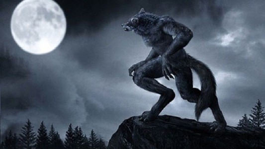 Viral: Era falso el video del lobizón en Santiago del Estero