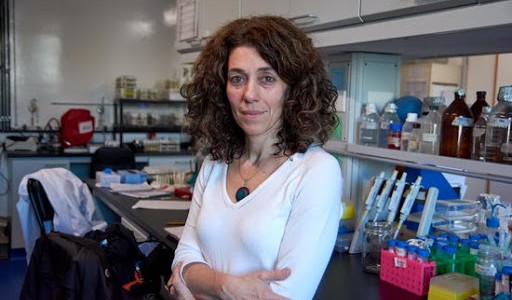 Una científica argentina fue incorporada a prestigiosa organización europea de biología molecular