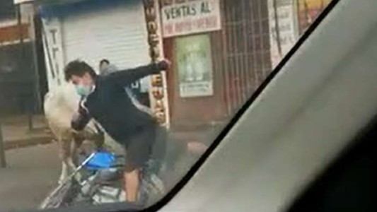 Pánico por una decena de vacas sueltas que dejaron varios heridos